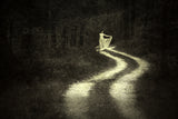 LIFE LIKE A ROAD IN THE FOREST Poster och Canvastavla