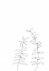 Branches Poster och Canvastavla