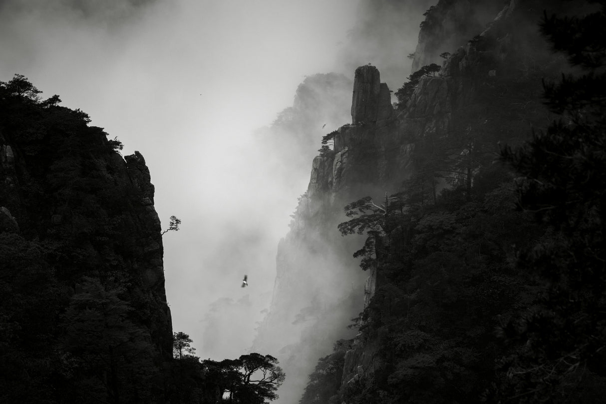 黄山西海 Poster och Canvastavla