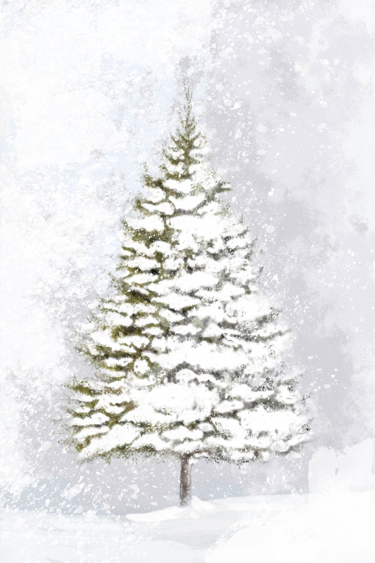 Lone fir in the snow Poster och Canvastavla