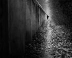 walking alone Poster och Canvastavla
