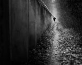 walking alone Poster och Canvastavla