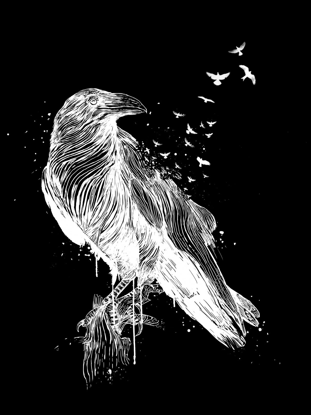 Born to be free (dark) Poster och Canvastavla