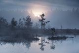 When the sun wakes up Poster och Canvastavla