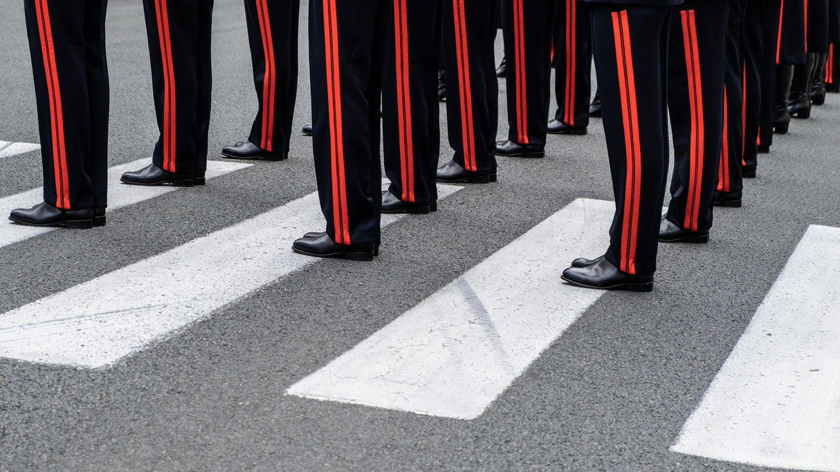 Zebra Poster och Canvastavla