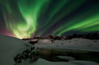 Shades of Green Poster och Canvastavla