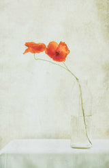 Two Poppies in a Bottle Poster och Canvastavla