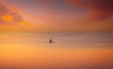 Albufera kayaking at sunset 7D17 Poster och Canvastavla