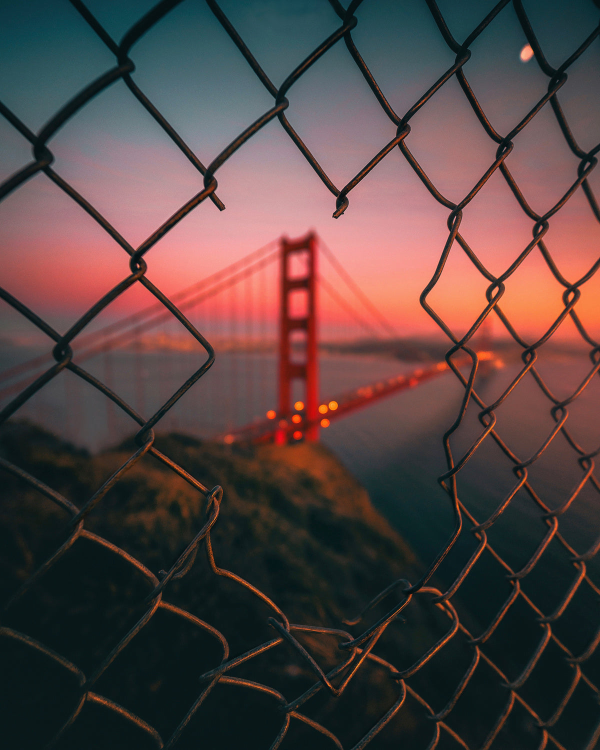 Golden Gate Caged Poster och Canvastavla