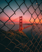 Golden Gate Caged Poster och Canvastavla