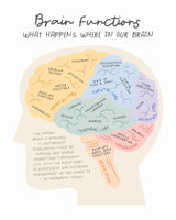 Brainfunctions Poster och Canvastavla