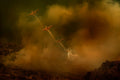 Air Tractor 802 Fire Boss in action. Poster och Canvastavla