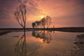 Sunset reflection Poster och Canvastavla