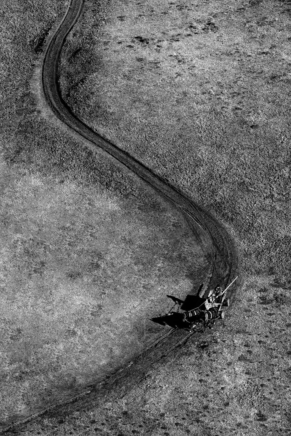 Winding road back home Poster och Canvastavla