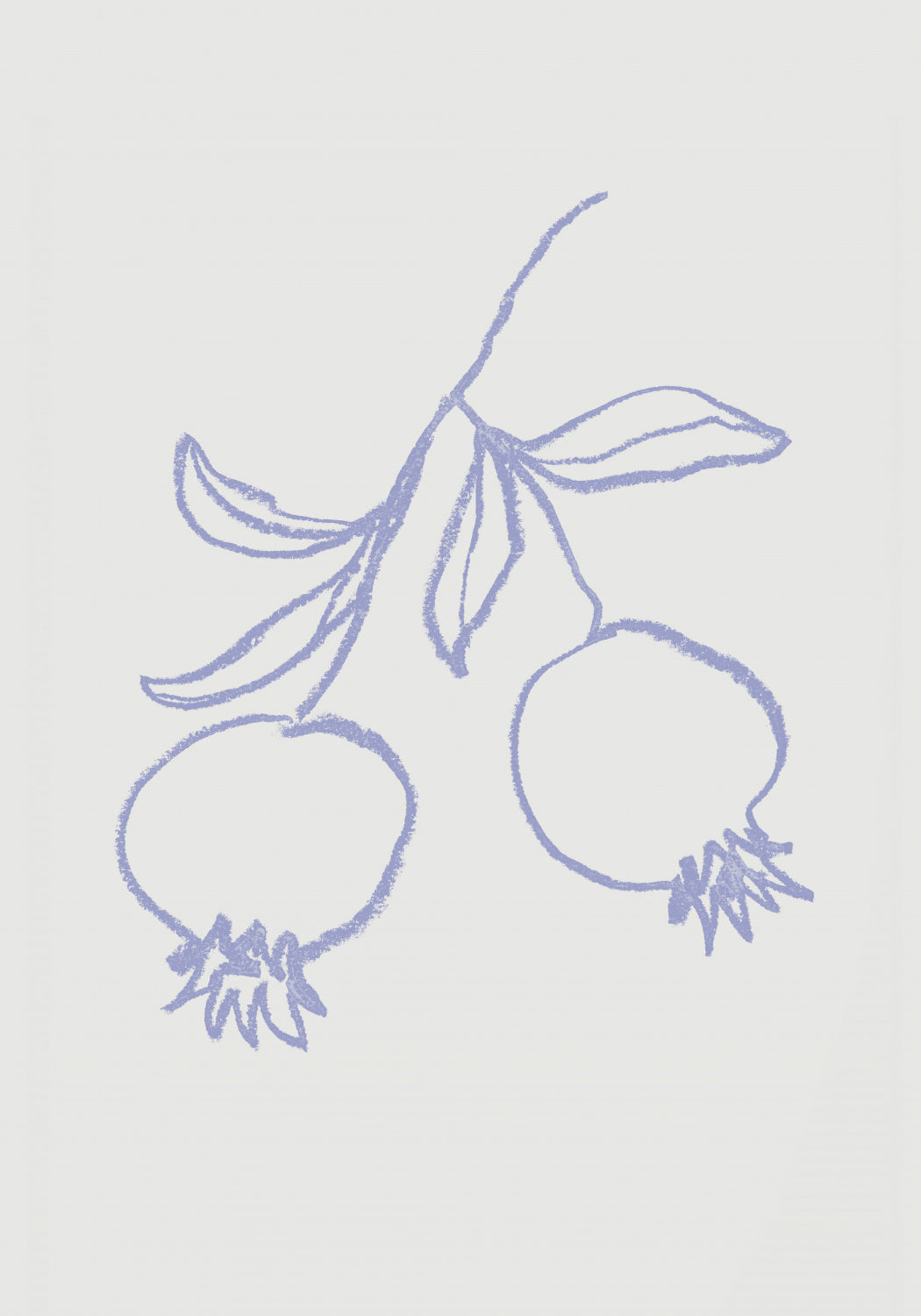 Pomegranate Lilac Poster och Canvastavla
