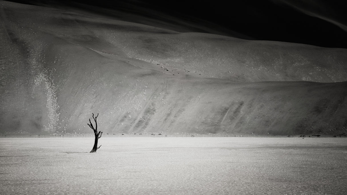Alone in the world Poster och Canvastavla