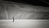 Alone in the world Poster och Canvastavla