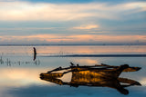 Indian Ocean at sunrise Poster och Canvastavla