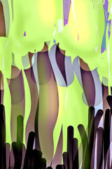 Rain Forest Poster och Canvastavla