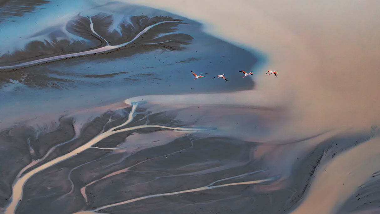 Flying Over Lake Magadi - 2 Poster och Canvastavla