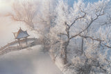 吉林雾凇岛 Jilin Wusong Island Poster och Canvastavla