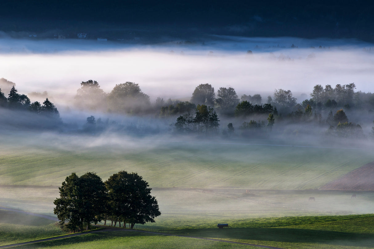 Magically rising fog... Poster och Canvastavla