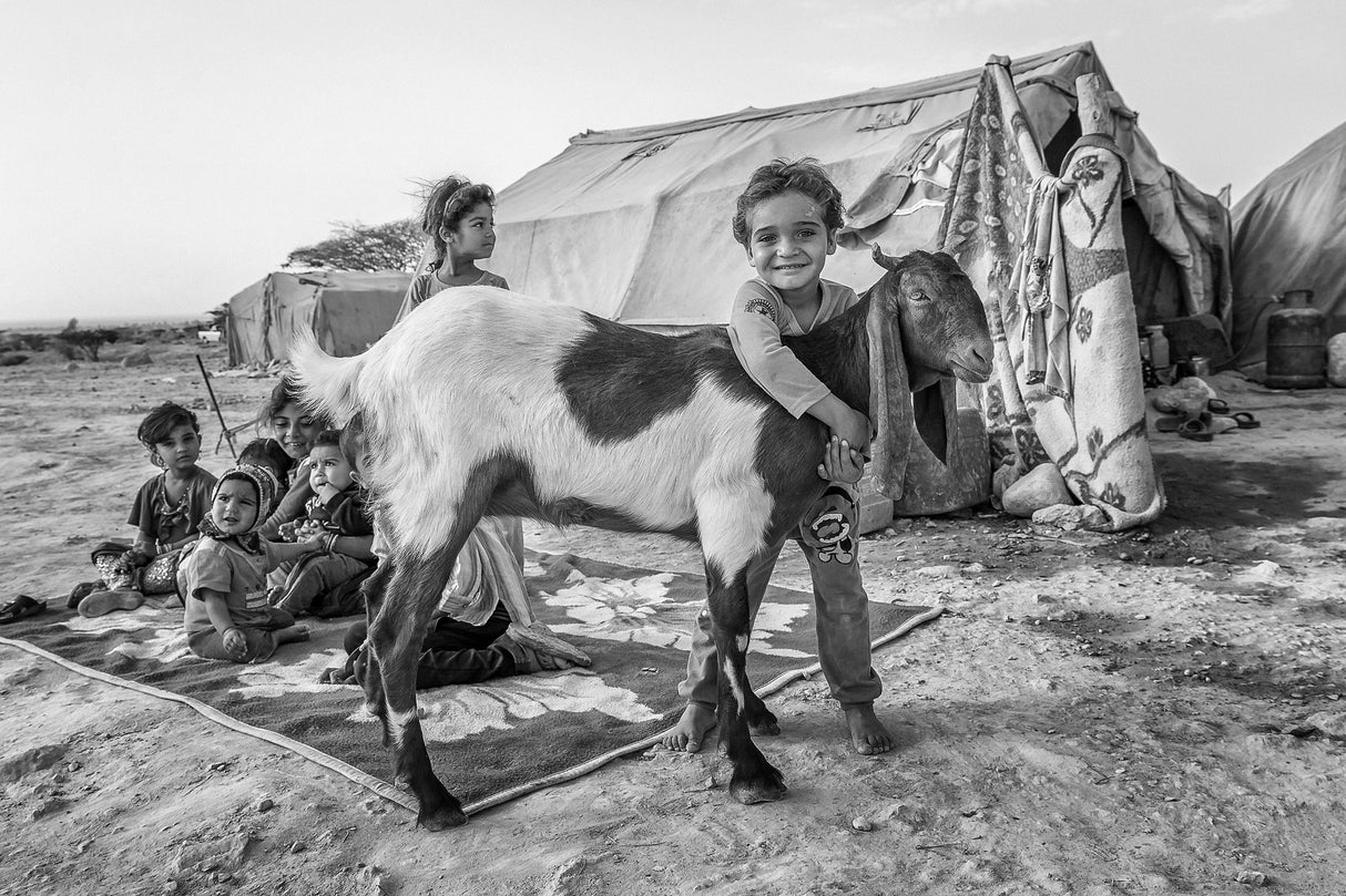 Living with goat Poster och Canvastavla