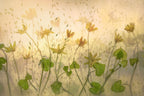 Sunny flowers Poster och Canvastavla