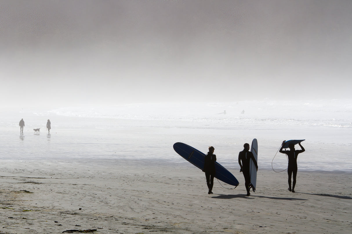 Surfing Time in a Foggy Day Poster och Canvastavla