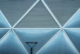 Asymmetry Poster och Canvastavla
