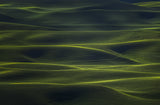 Wavy Land Poster och Canvastavla