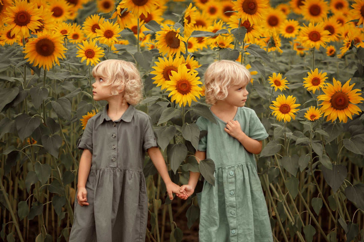 A Walk in the Sunflowers Poster och Canvastavla