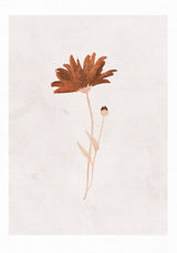 Wildflower Poster och Canvastavla