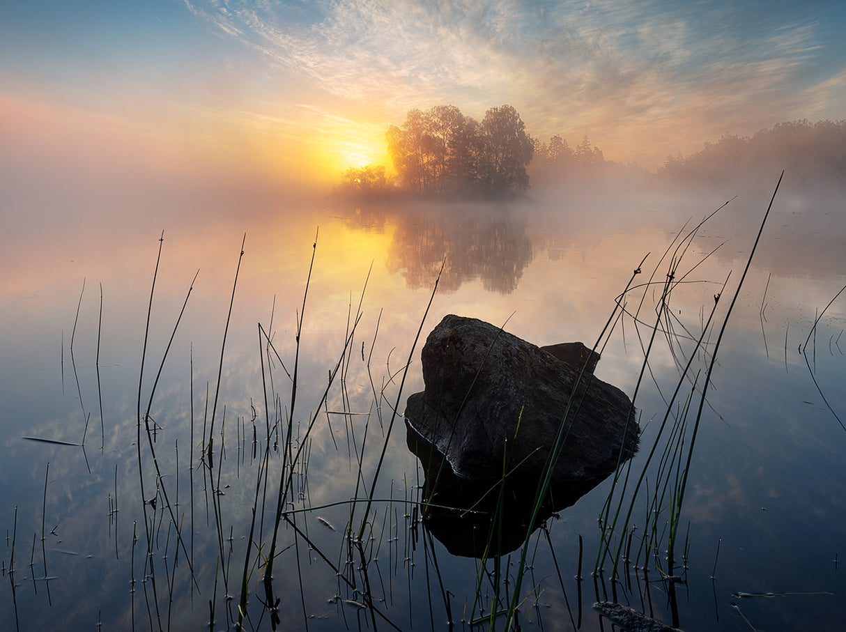 Tranquil morning Poster och Canvastavla