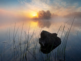 Tranquil morning Poster och Canvastavla