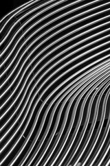 Curves Poster och Canvastavla
