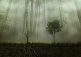 Root 2 Poster och Canvastavla
