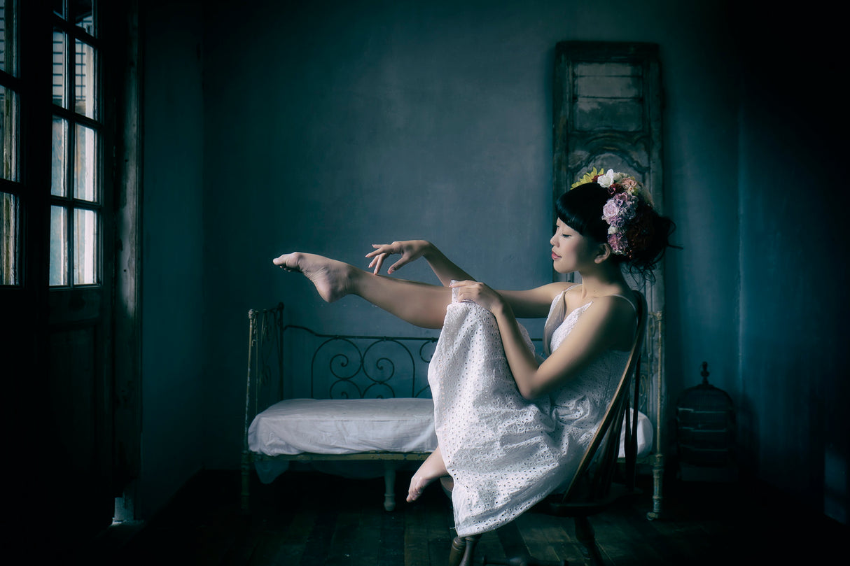 Ballerina Poster och Canvastavla