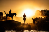 Cowboys &amp; Buffaloes Poster och Canvastavla