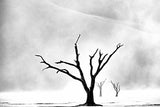 Namibia: The Spirit of Wilderness Poster och Canvastavla