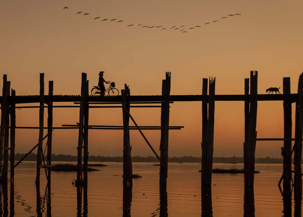 Ubein Bridge Poster och Canvastavla