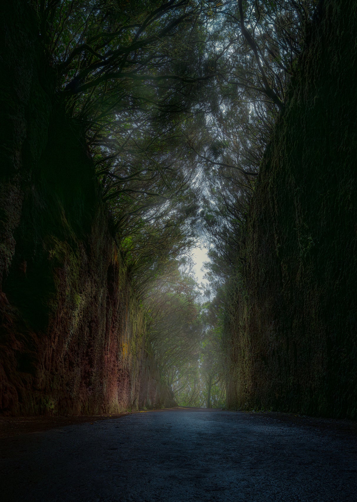 Mysterious road Poster och Canvastavla