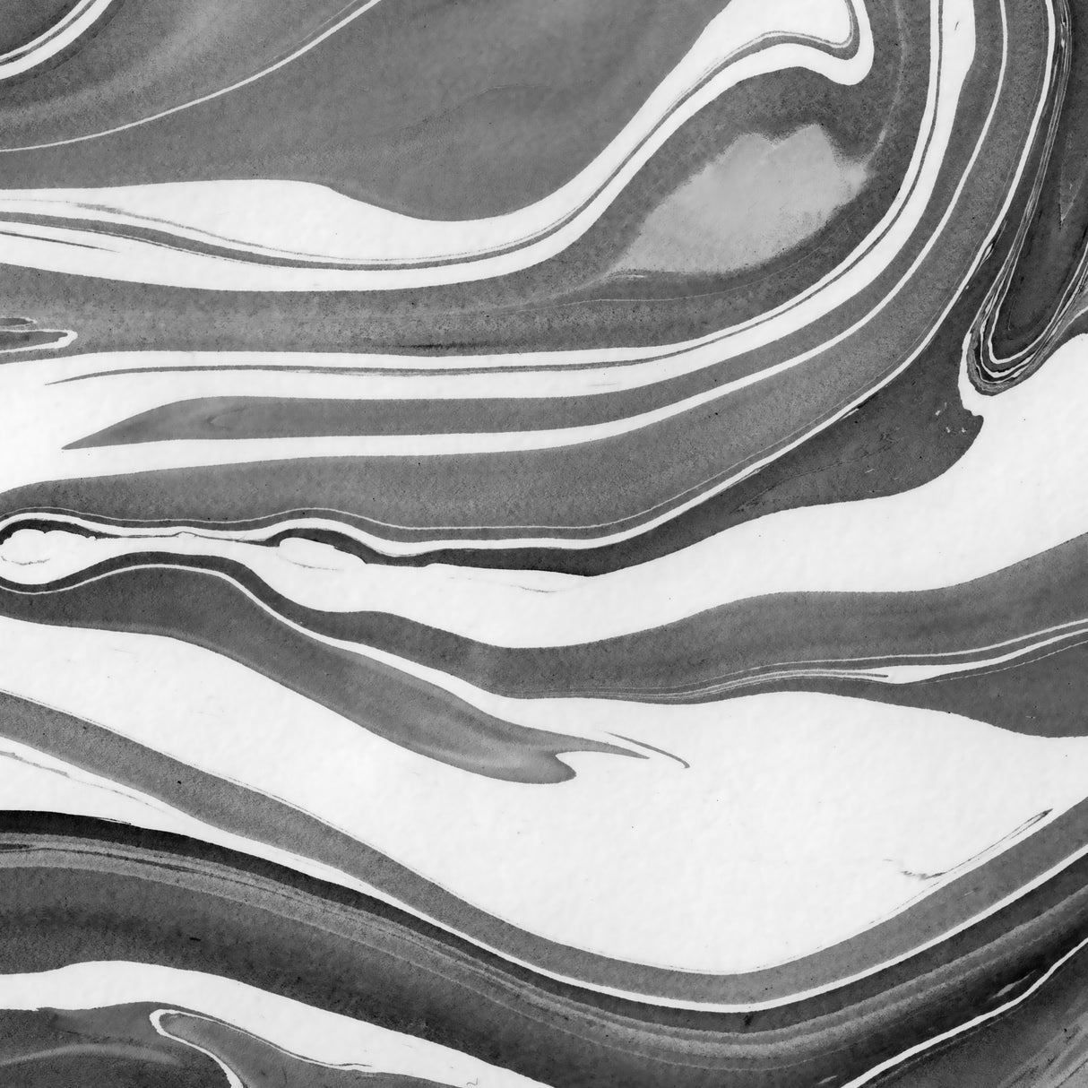 Ink Marbling Black and White 01 Poster och Canvastavla