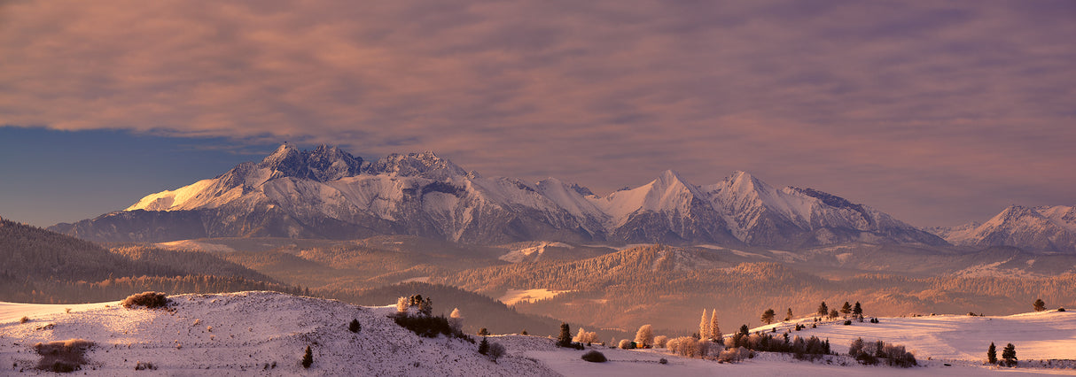 The Tatra Mountains Poster och Canvastavla