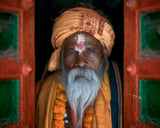 Sadhu Baba Poster och Canvastavla
