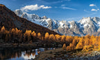Autumn in the Alps Poster och Canvastavla