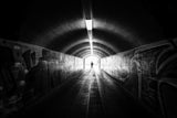 from light to dark Poster och Canvastavla