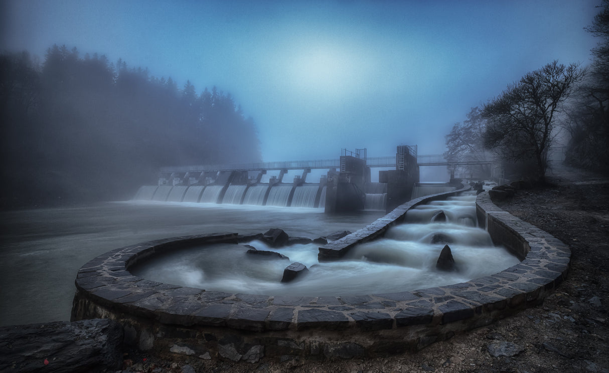 The Fish Ladder Poster och Canvastavla