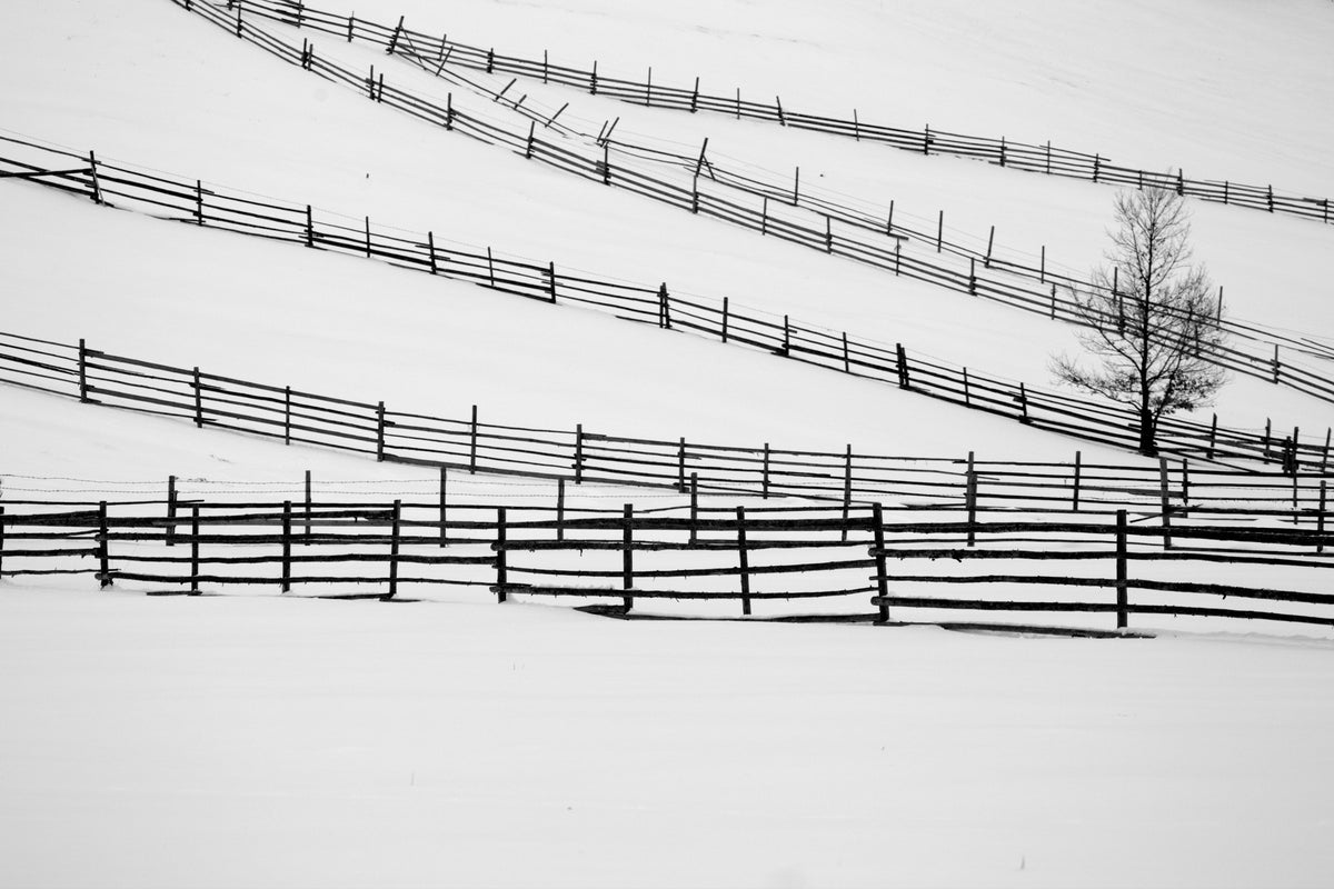 Winter song Poster och Canvastavla