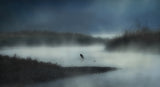 In the river fog Poster och Canvastavla